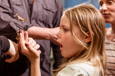 Maja mit Australischer Gespenstschrecke, Foto: Christian Rudat, (c) Roter Fleck Verlag