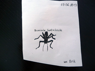 Eriks "Samtschrecken Zeichnung", Foto: (c) Roter Fleck Verlag