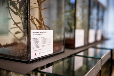 Terrarien, Foto: Christian Rudat, (c) Roter Fleck Verlag