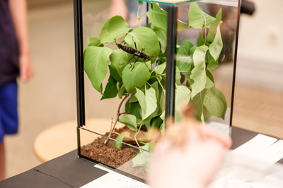 Simons und Tims Terrarium, Foto: Christian Rudat, (c) Roter Fleck Verlag